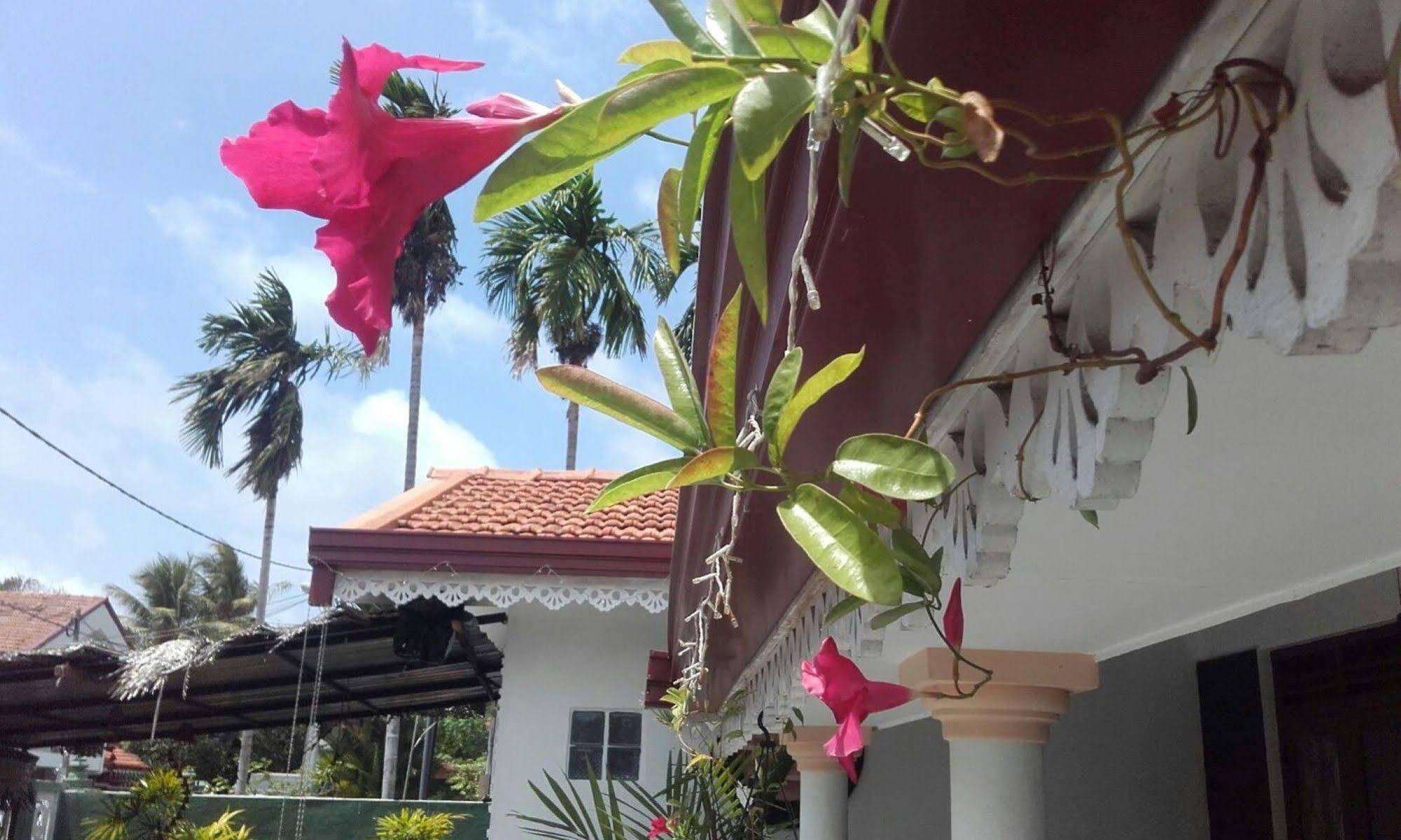 Alexandra Family Villa Negombo Esterno foto